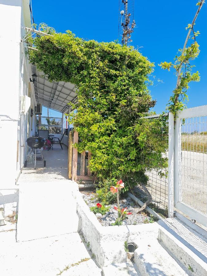 Livadi House Βίλα Θεολόγος Εξωτερικό φωτογραφία