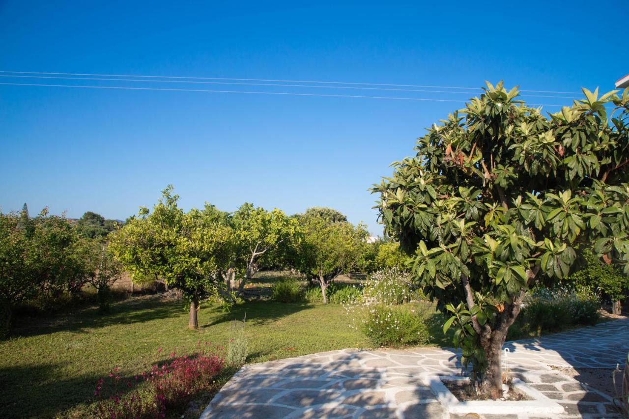 Livadi House Βίλα Θεολόγος Εξωτερικό φωτογραφία