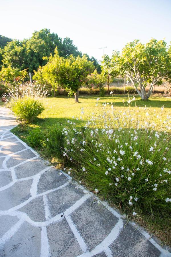 Livadi House Βίλα Θεολόγος Εξωτερικό φωτογραφία