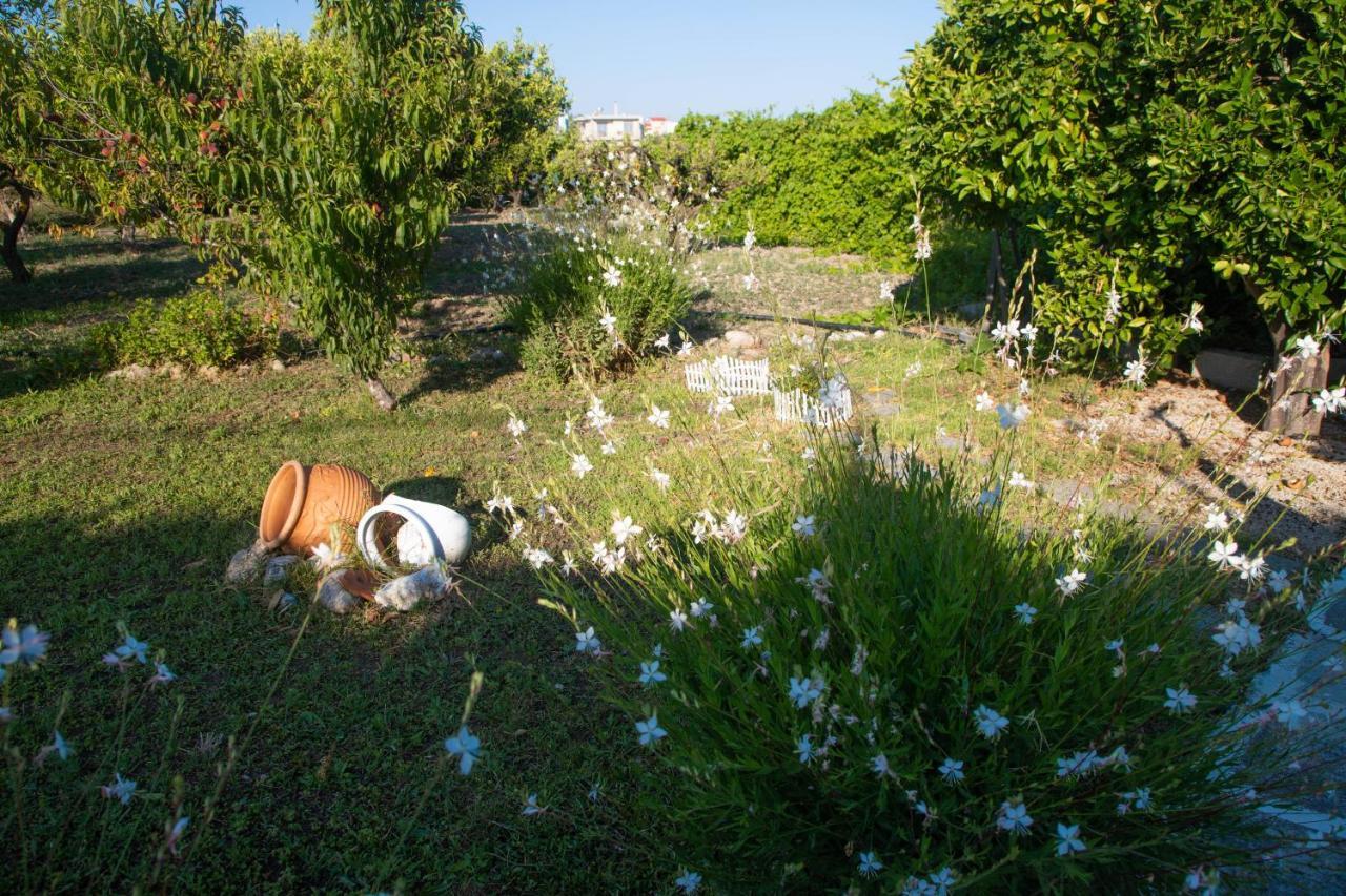 Livadi House Βίλα Θεολόγος Εξωτερικό φωτογραφία