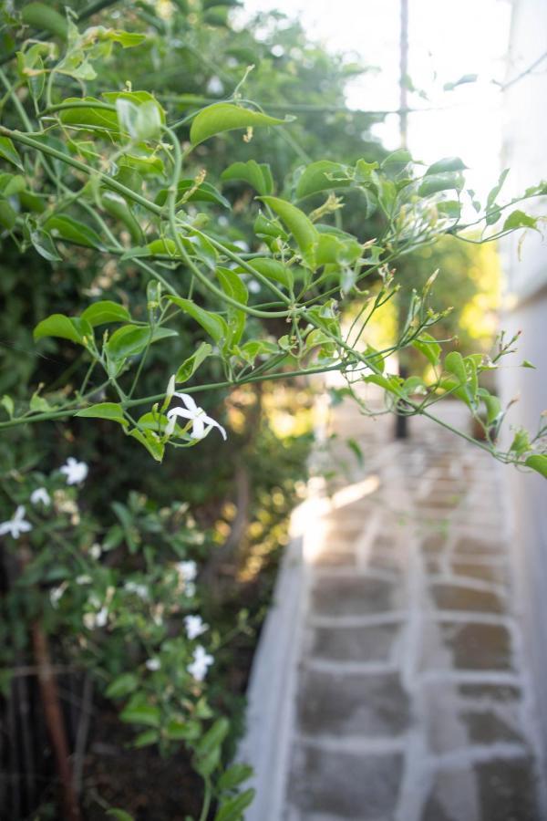 Livadi House Βίλα Θεολόγος Εξωτερικό φωτογραφία