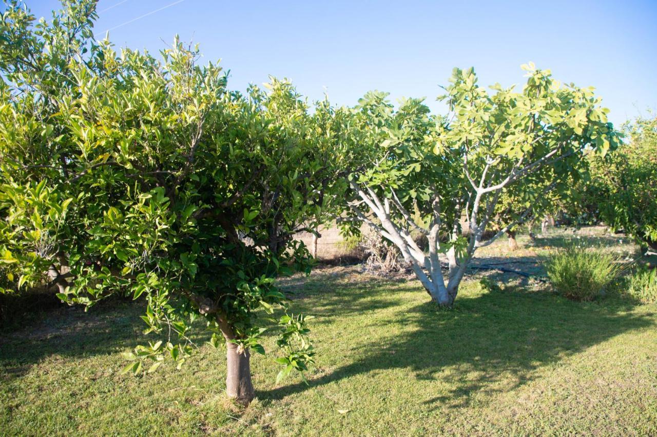 Livadi House Βίλα Θεολόγος Εξωτερικό φωτογραφία